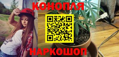 дурь Боровичи