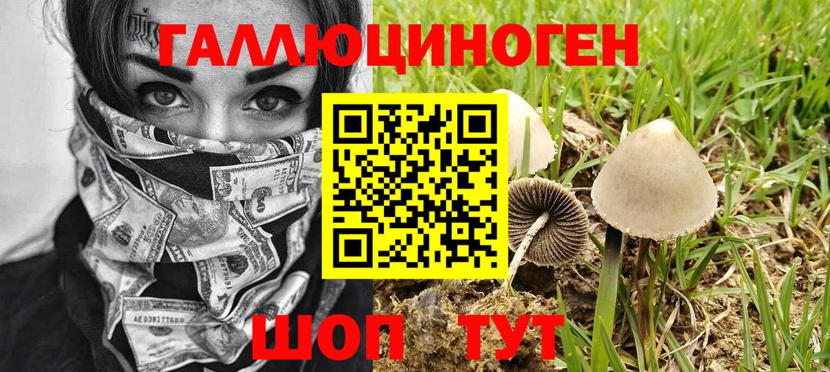 Батайск  Псилоцибиновые грибы прущие грибы  Галлюциногенные грибы Magic Shrooms  Вход с VPN 